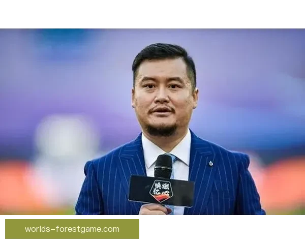 央视贺炜第七次亮相世界杯现场见证足球盛宴全程报道
